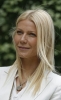 gwyneth paltrow pic